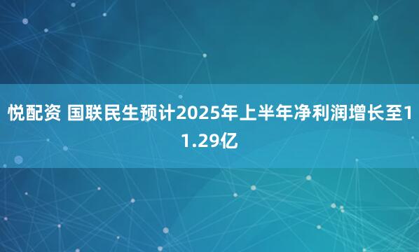 悦配资 国联民生预计2025年上半年净利润增长至11.29亿