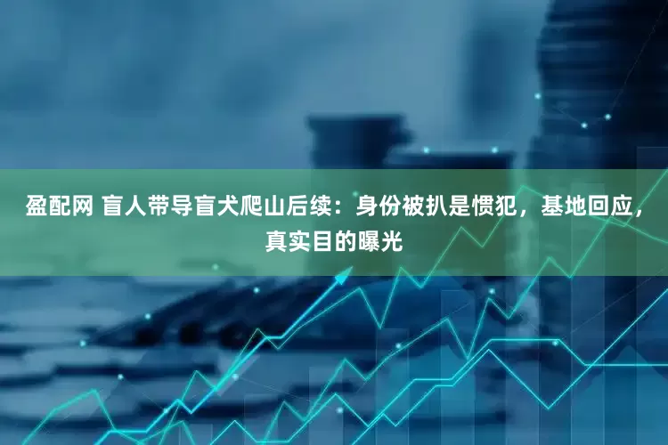 盈配网 盲人带导盲犬爬山后续：身份被扒是惯犯，基地回应，真实目的曝光