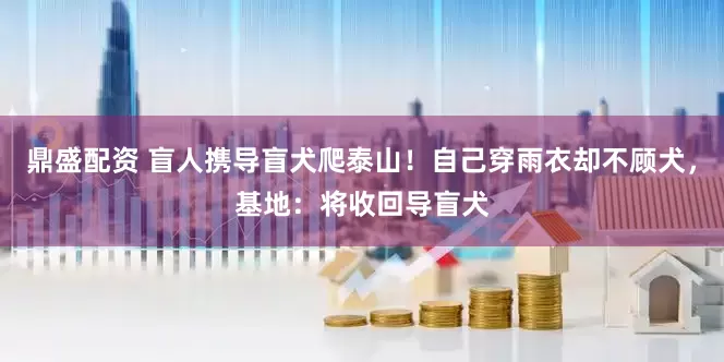 鼎盛配资 盲人携导盲犬爬泰山！自己穿雨衣却不顾犬，基地：将收回导盲犬